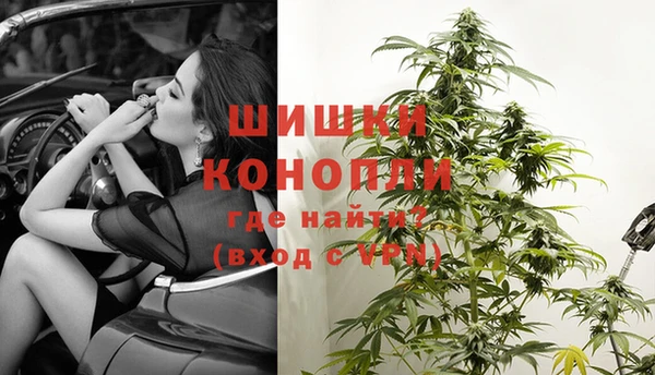 дживик Верея