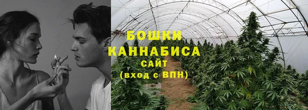 стаф Верхний Тагил