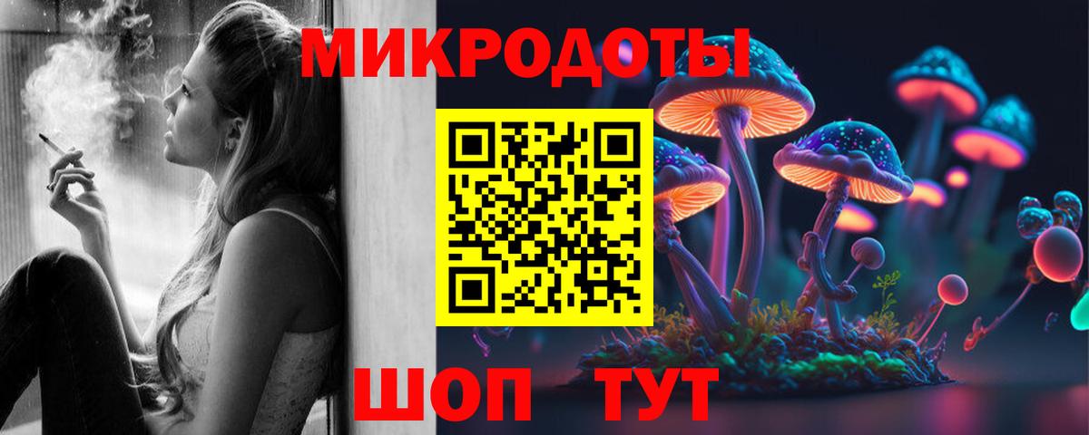 Галлюциногенные грибы Psilocybine cubensis Рузаевка